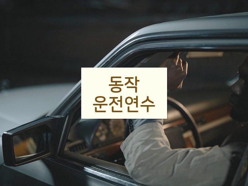 동작운전연수 후기