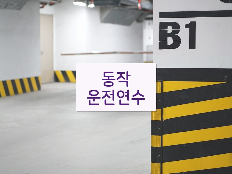 동작운전연수 후기
