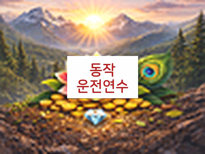 동작운전연수 후기