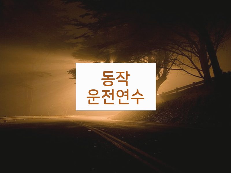 동작운전연수 후기