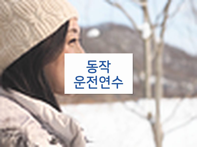 동작운전연수 후기