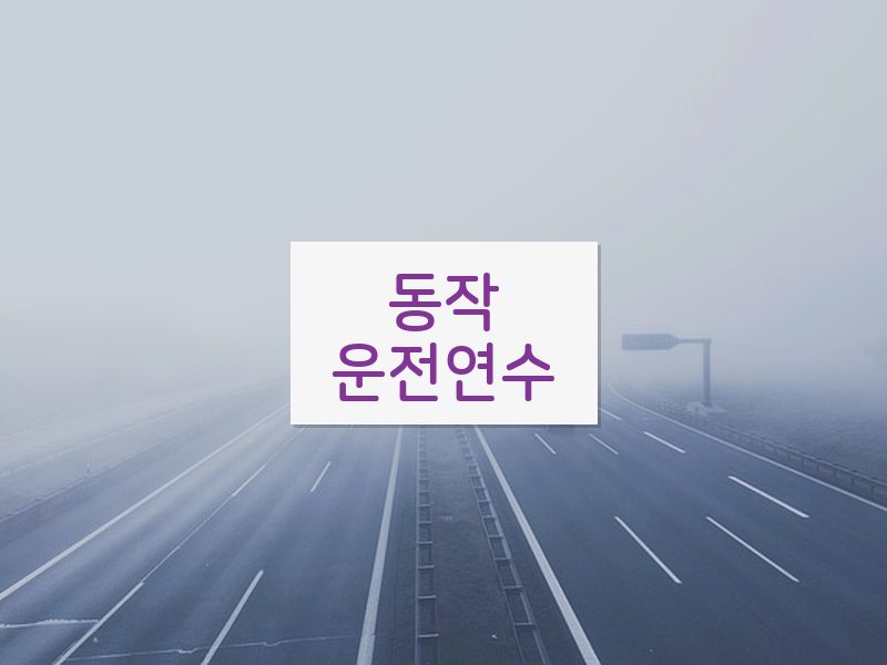 동작운전연수 후기