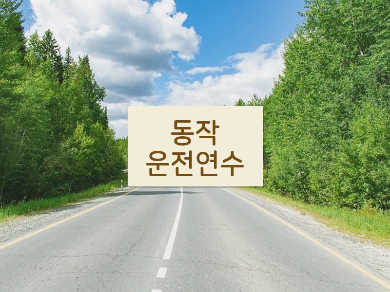 동작운전연수 후기