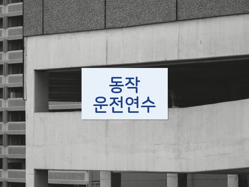 동작운전연수 후기