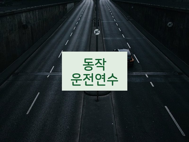 동작운전연수 후기