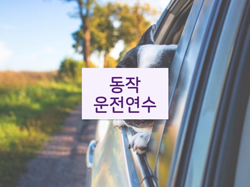 동작운전연수 후기