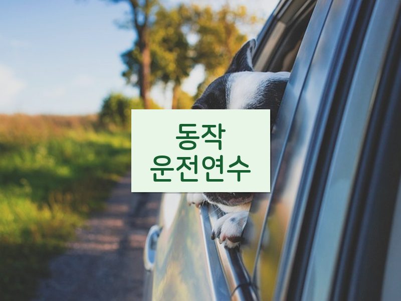 동작운전연수 후기