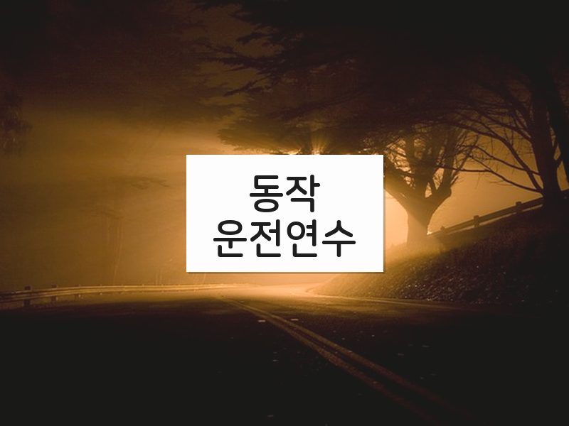 동작운전연수 후기