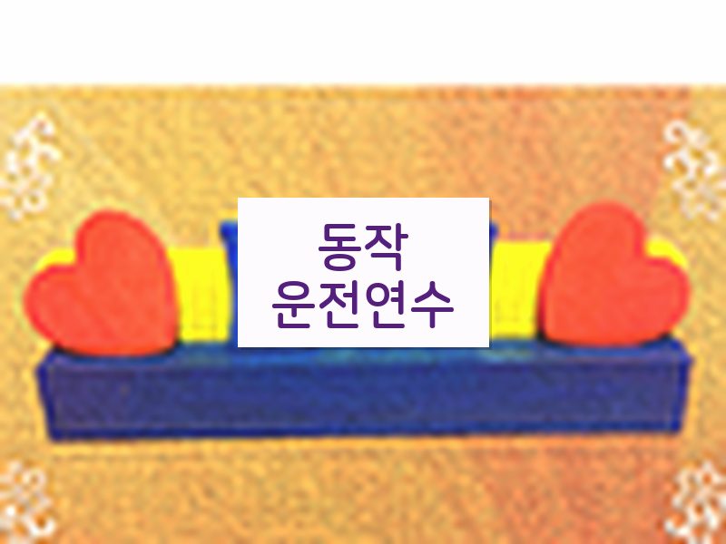 동작운전연수 후기