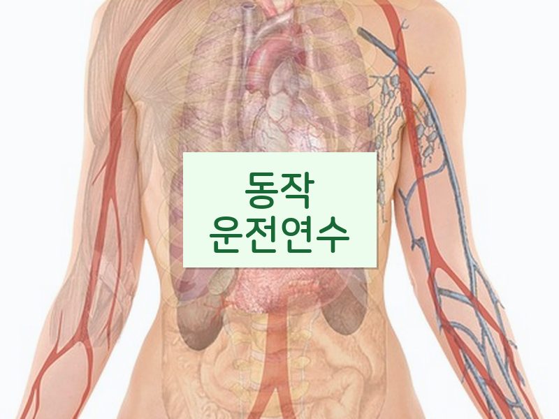 동작운전연수 후기