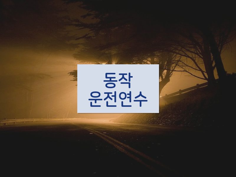 동작운전연수 후기