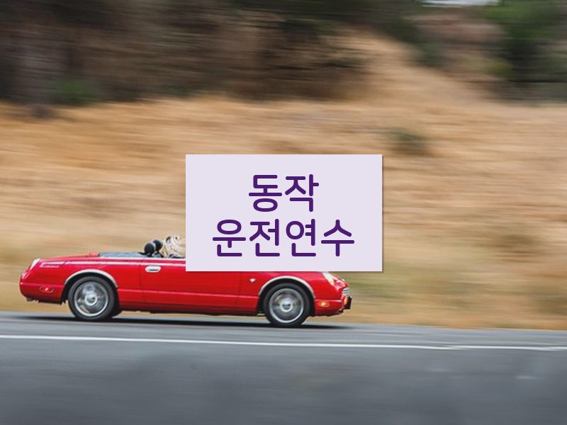 동작운전연수 후기