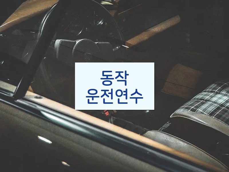동작운전연수 후기