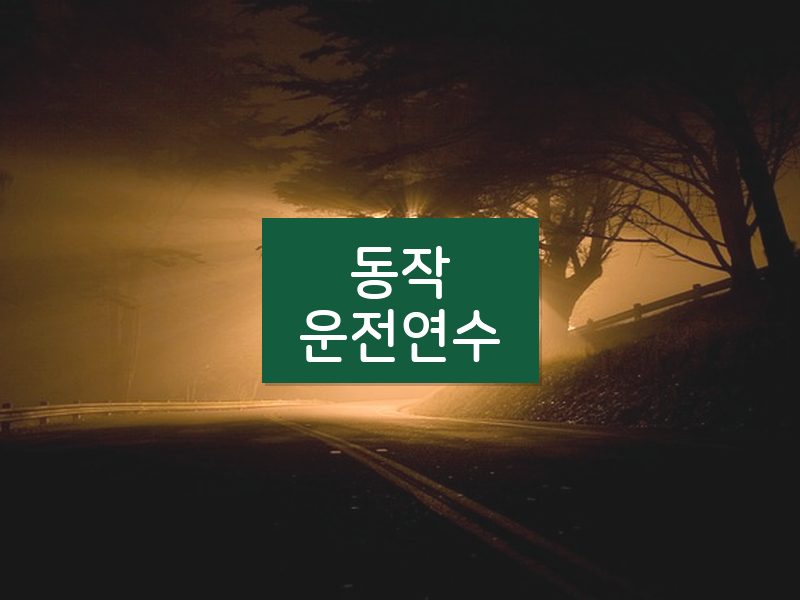 동작운전연수 후기