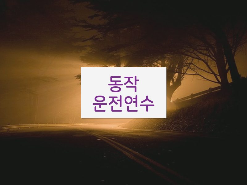 동작운전연수 후기