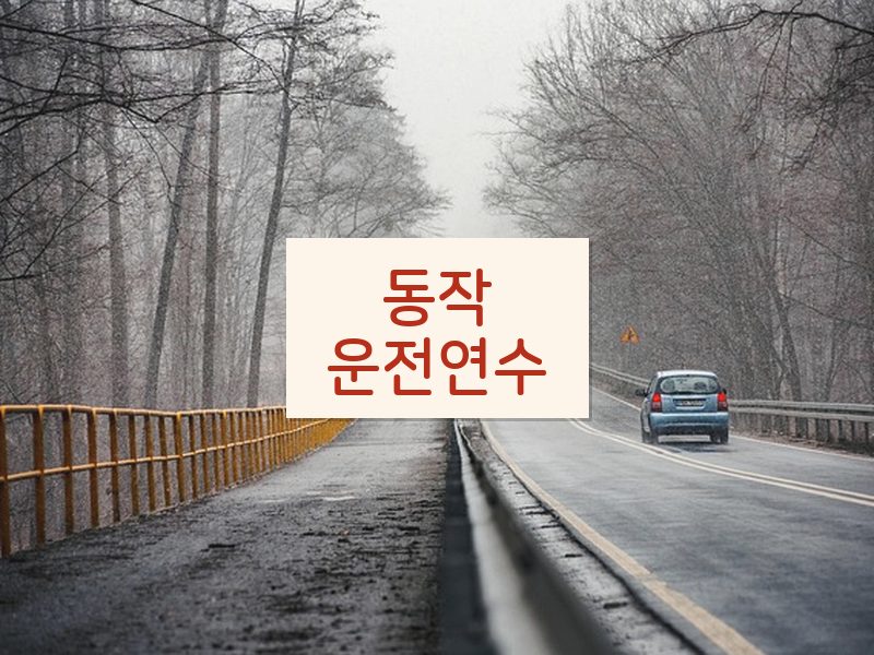 동작운전연수 후기