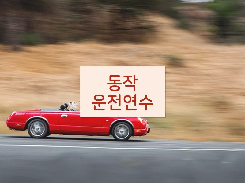 동작운전연수 후기