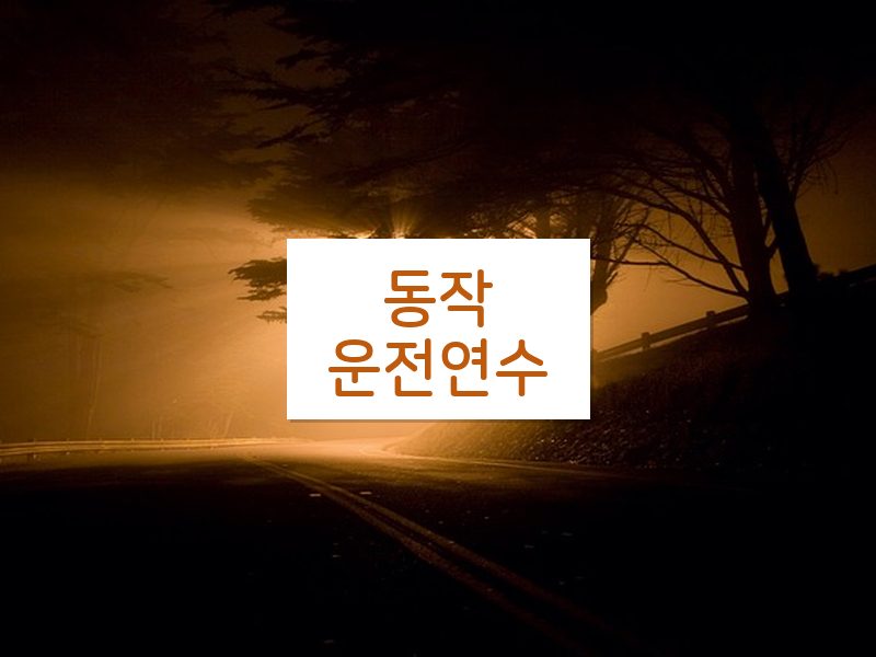 동작운전연수 후기