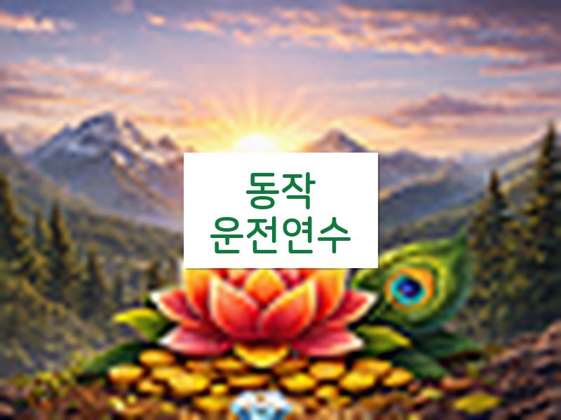 동작운전연수 후기