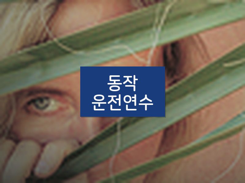 동작운전연수 후기