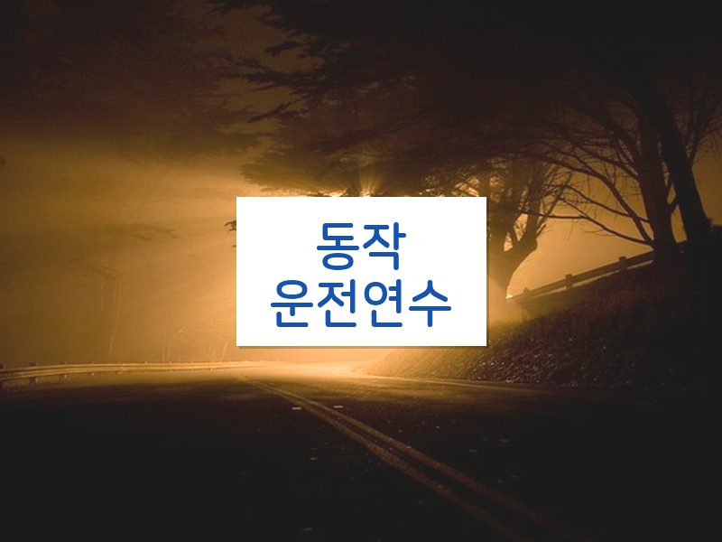 동작운전연수 후기