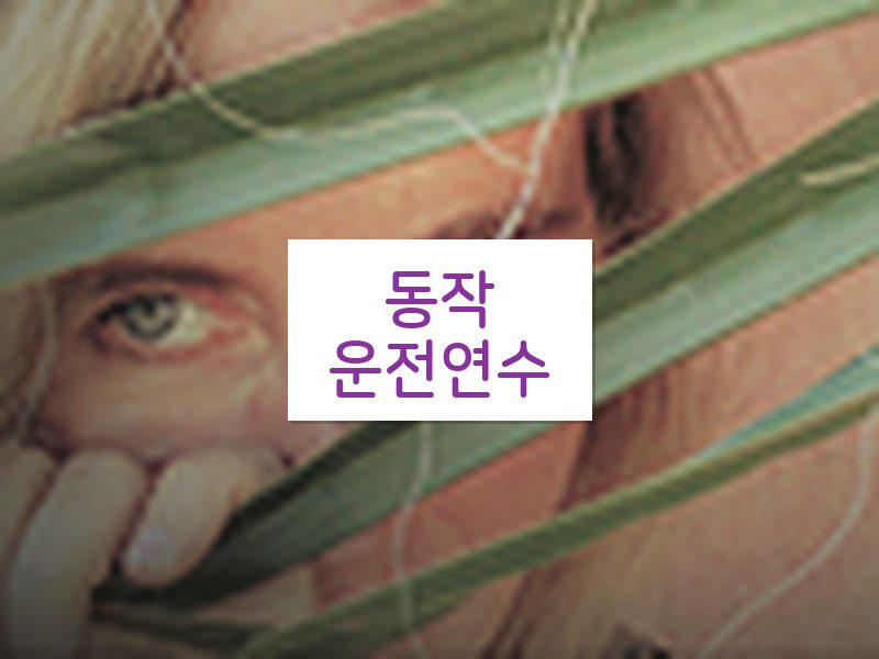 동작운전연수 후기