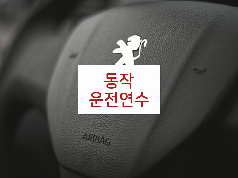 동작운전연수 후기