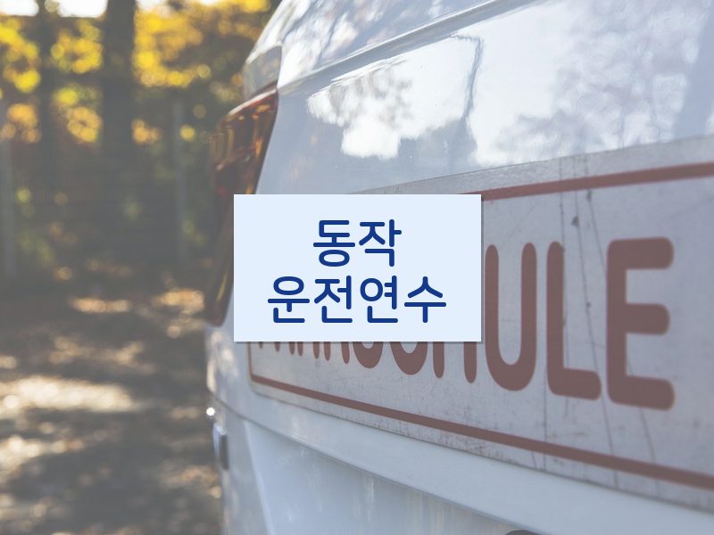 동작운전연수 후기