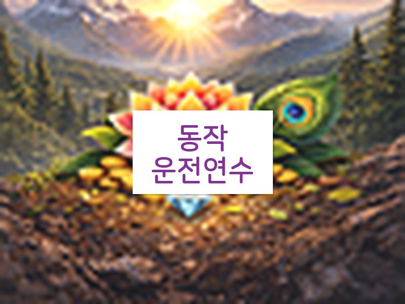 동작운전연수 후기