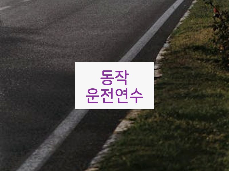 동작운전연수 후기