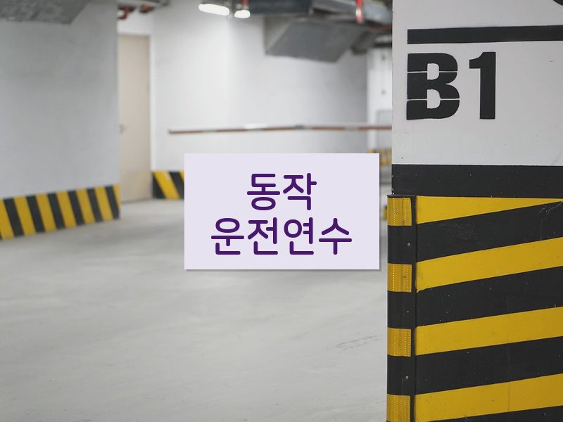 동작운전연수 후기