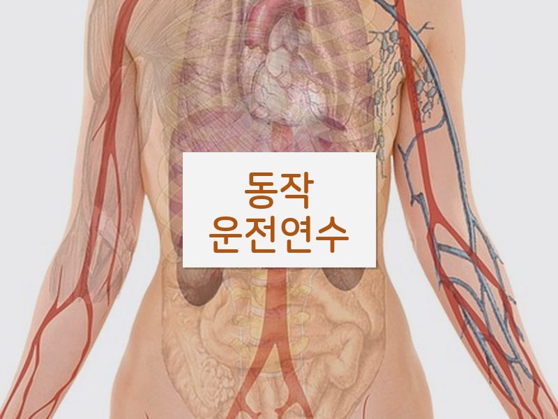 동작운전연수 후기