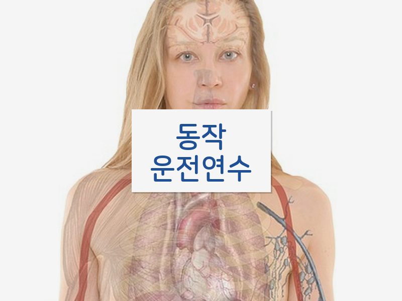 동작운전연수 후기