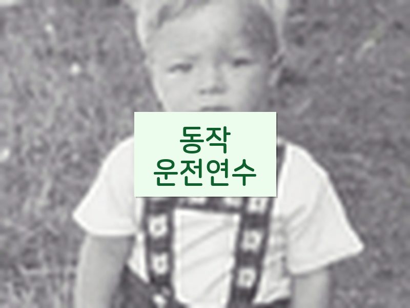 동작운전연수 후기