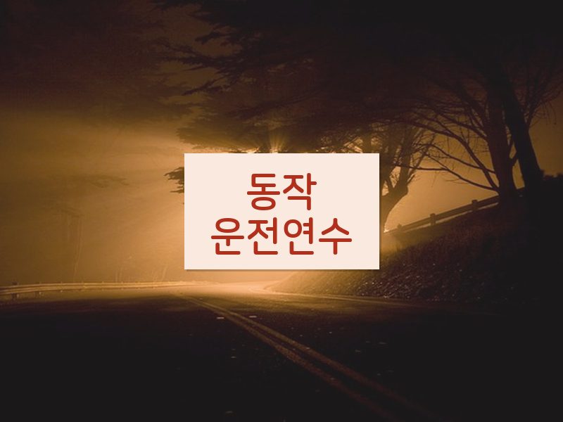 동작운전연수 후기