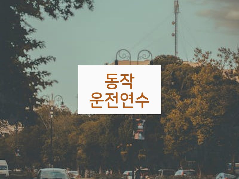 동작운전연수 후기