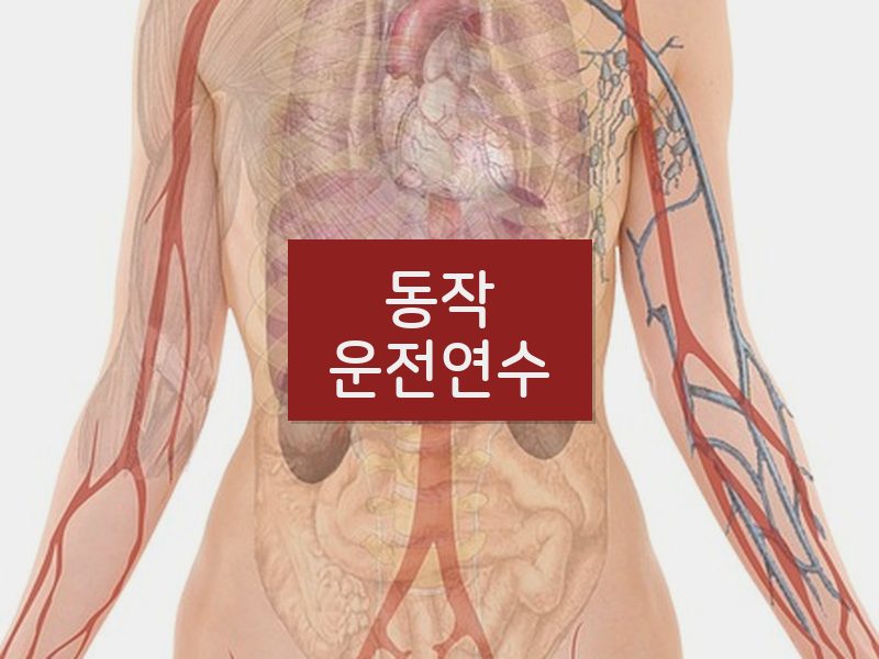 동작운전연수 후기