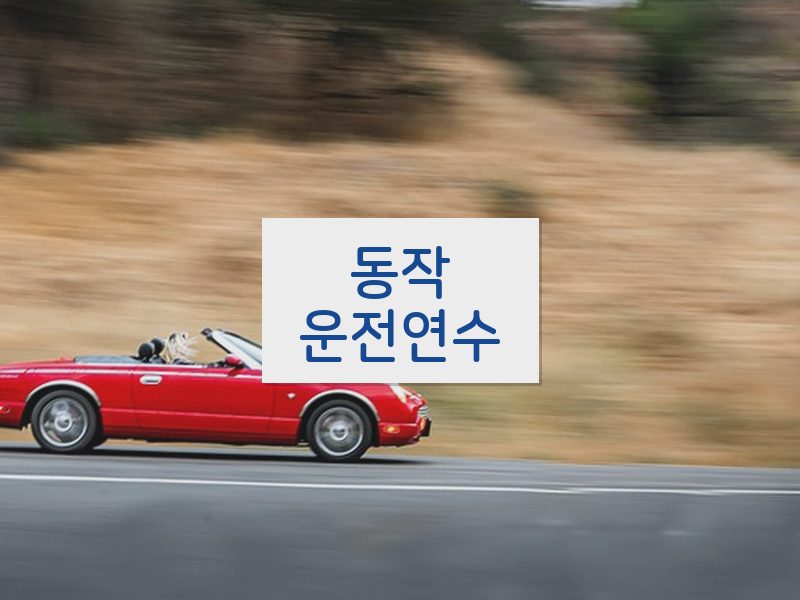 동작운전연수 후기