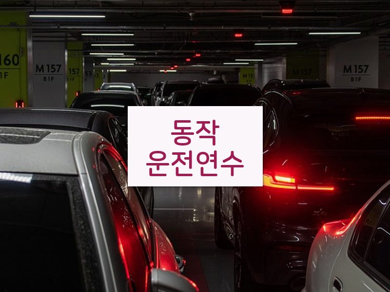 동작운전연수 후기