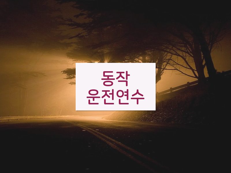 동작운전연수 후기