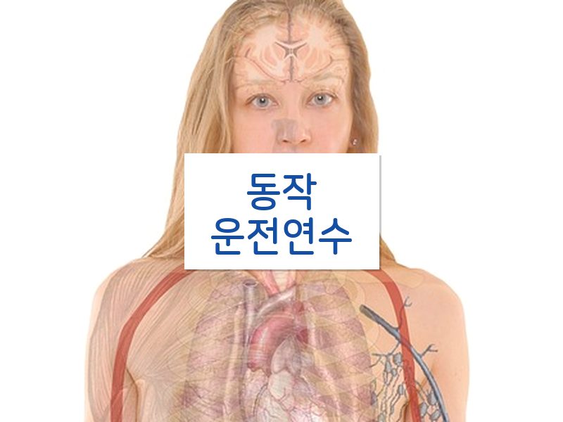 동작운전연수 후기