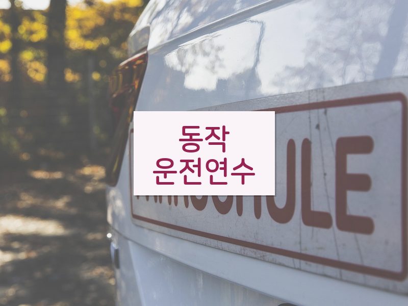 동작운전연수 후기