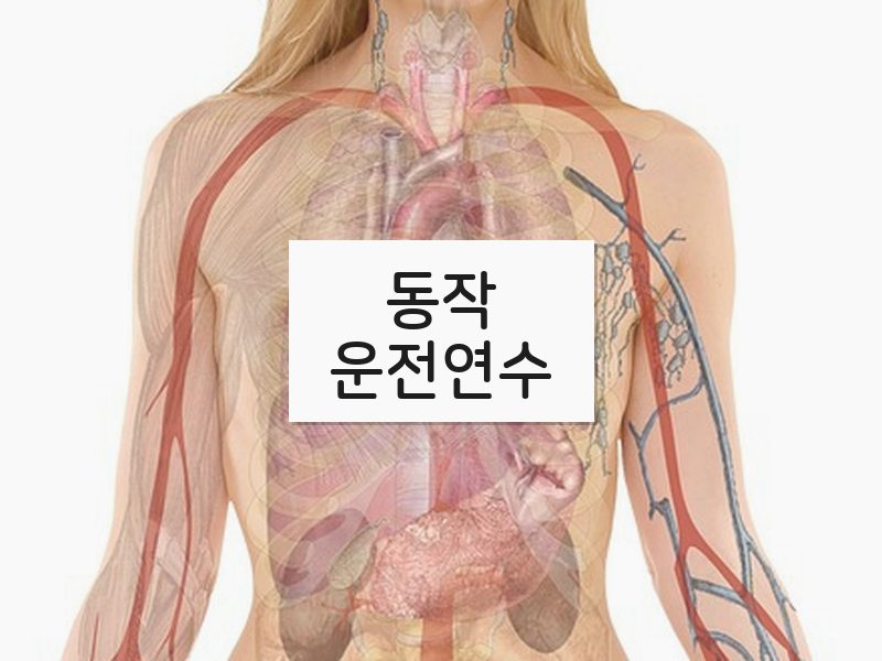 동작운전연수 후기