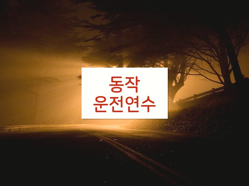 동작운전연수 후기