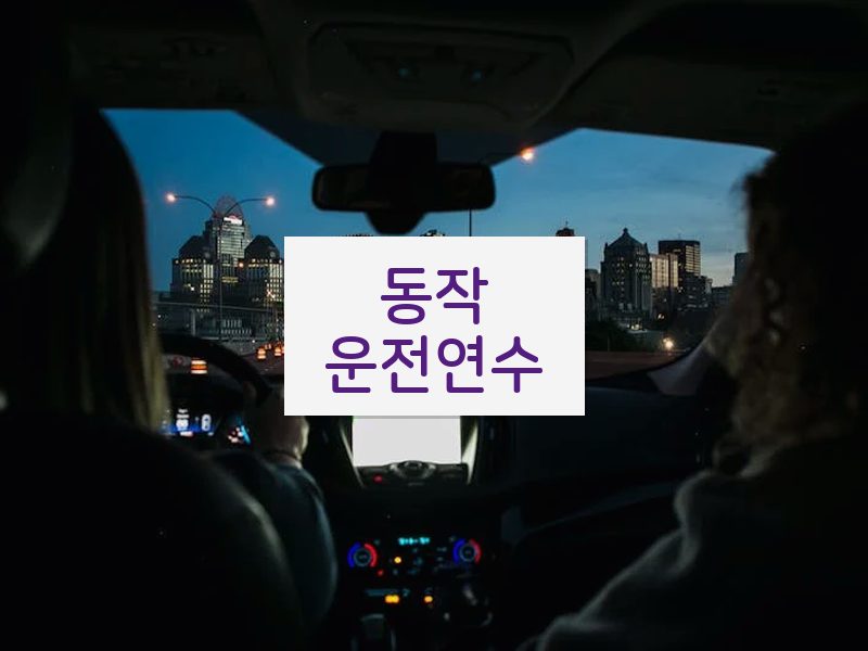 동작운전연수 후기