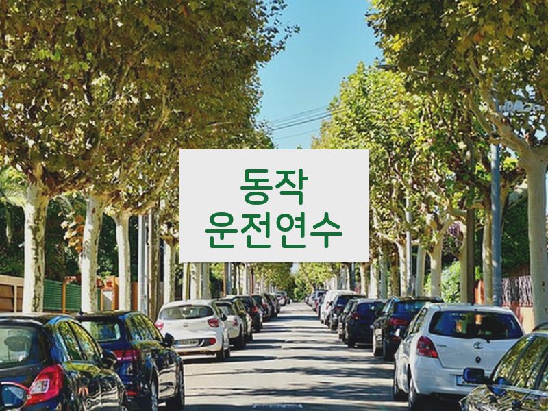 동작운전연수 후기