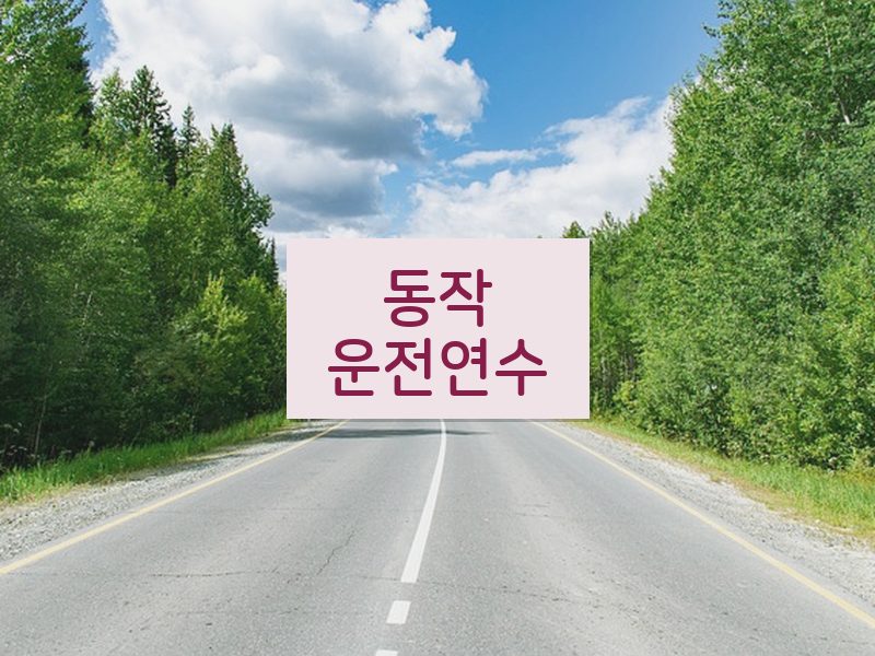 동작운전연수 후기
