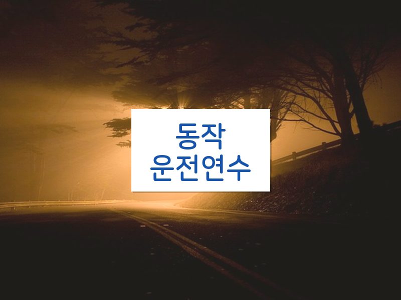 동작운전연수 후기