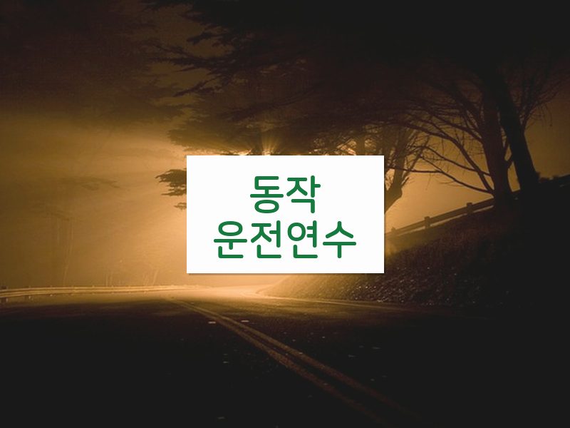 동작운전연수 후기