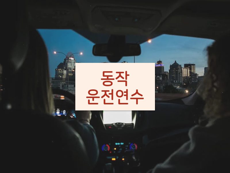 동작운전연수 후기